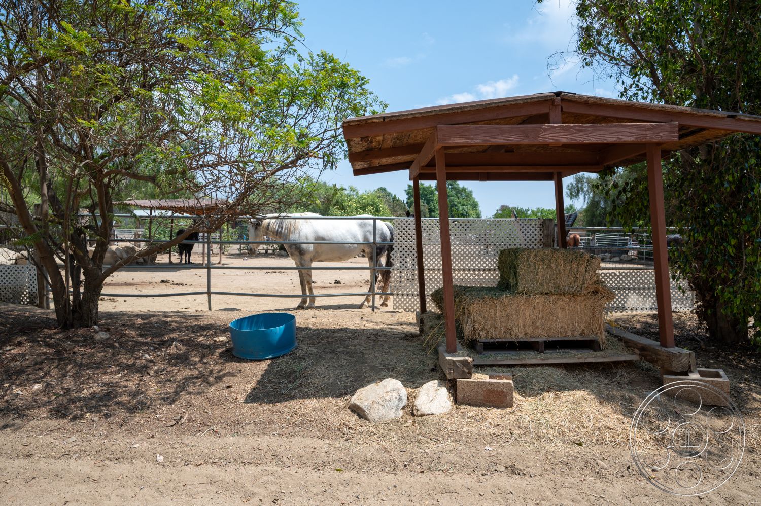 Ranch 6 - green leafy trees, dirt ground surface, open rural setting, wooden shelter structure, hay bales seating, blue plastic water trough, fenced horse pen, exterior horse stable area