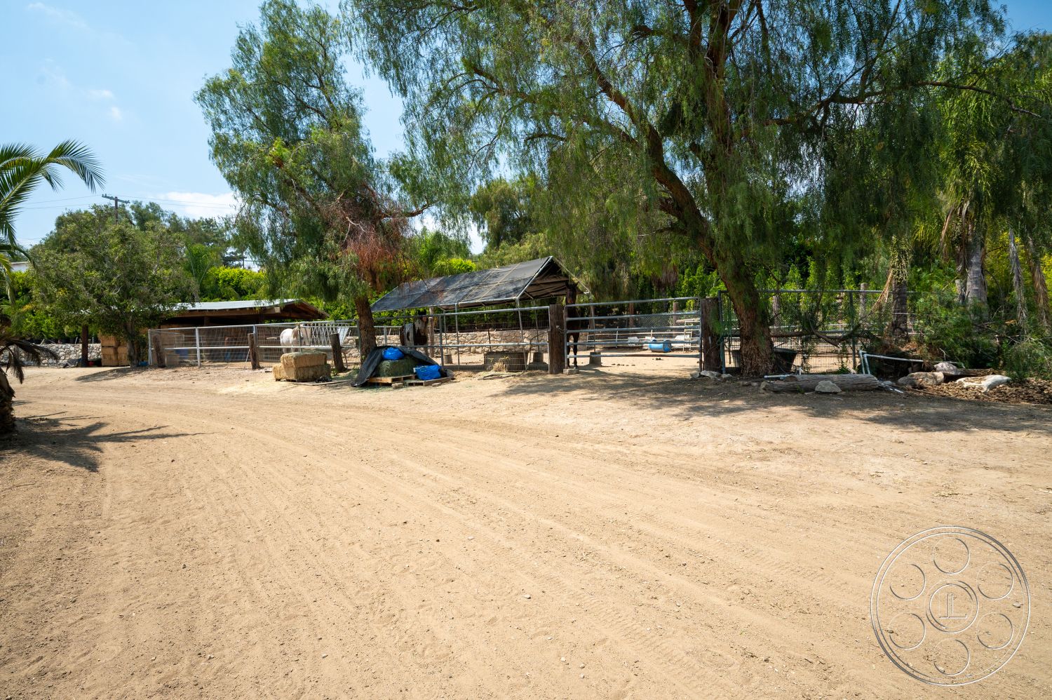 Ranch 6 - palm trees, metal fencing, thatched roof, gravel path, dirt driveway, sunny outdoor space, rural environment, outdoor animal enclosure, farmyard setting, wooden stable structure, tall green shrubs, exposed ground
