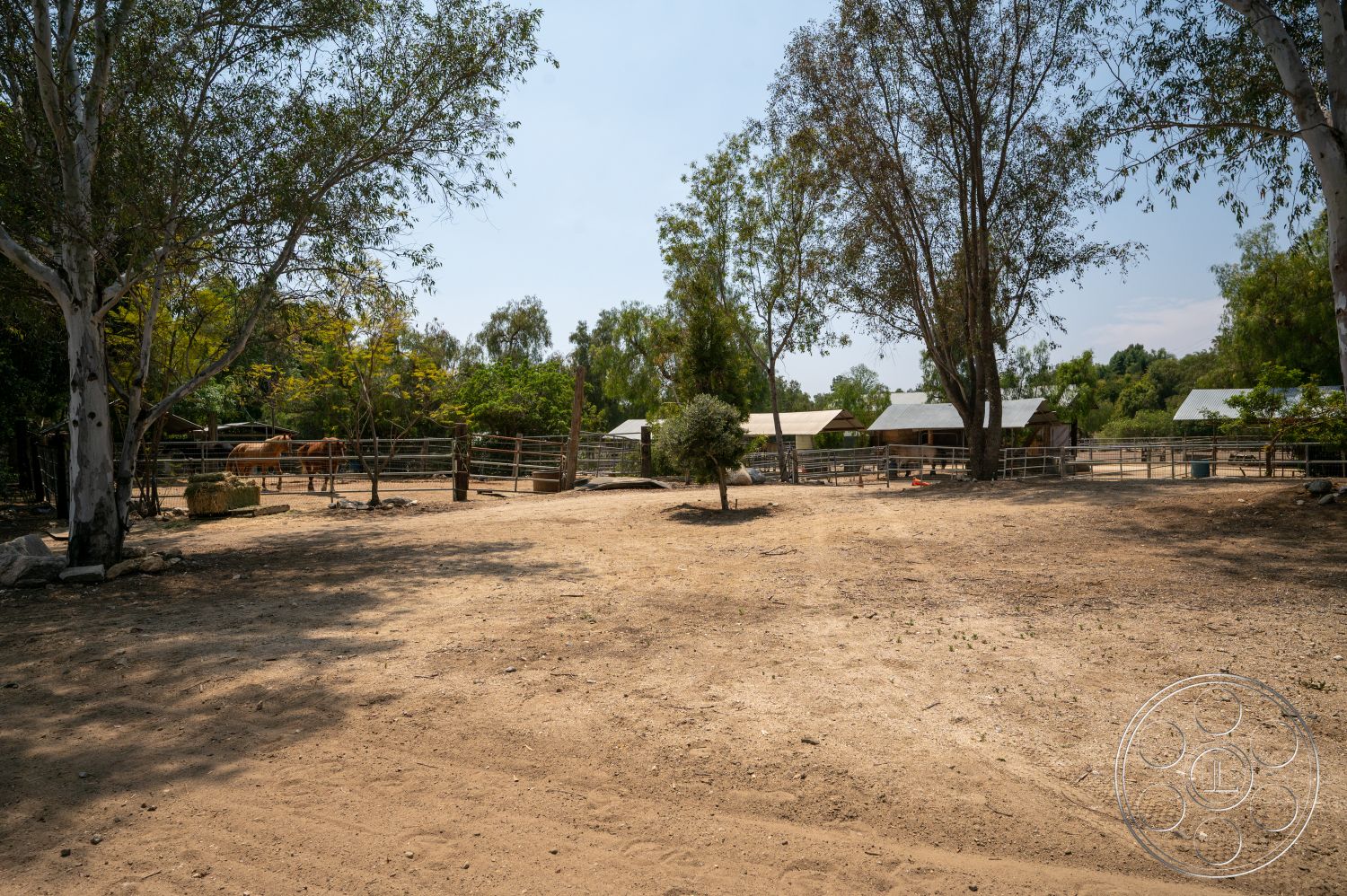 Ranch 6 - outdoor space, dirt ground, eucalyptus trees, pastoral landscape, rural farmhouse setting, natural shade from trees, wooden fence posts, open pasture area, fenced horse enclosure, metal barn roofs, horse paddock, relaxed country atmosphere