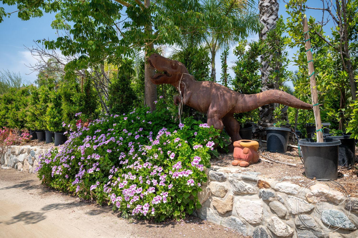 Ranch 6 - exterior, lush greenery, potted plants, tropical landscaping, dirt pathway, stone border wall, flowering petunias, decorative metal dinosaur