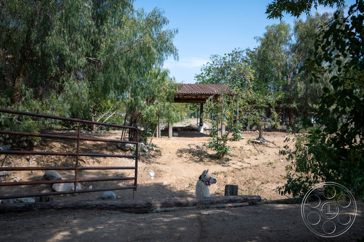 Ranch 6 - exterior, landscaped garden, native plants, metal gate, shaded area, asphalt driveway, wooden pergola, rural setting, dirt ground, open field, scattered boulders, rusted iron gate, round stone path, low-hanging trees