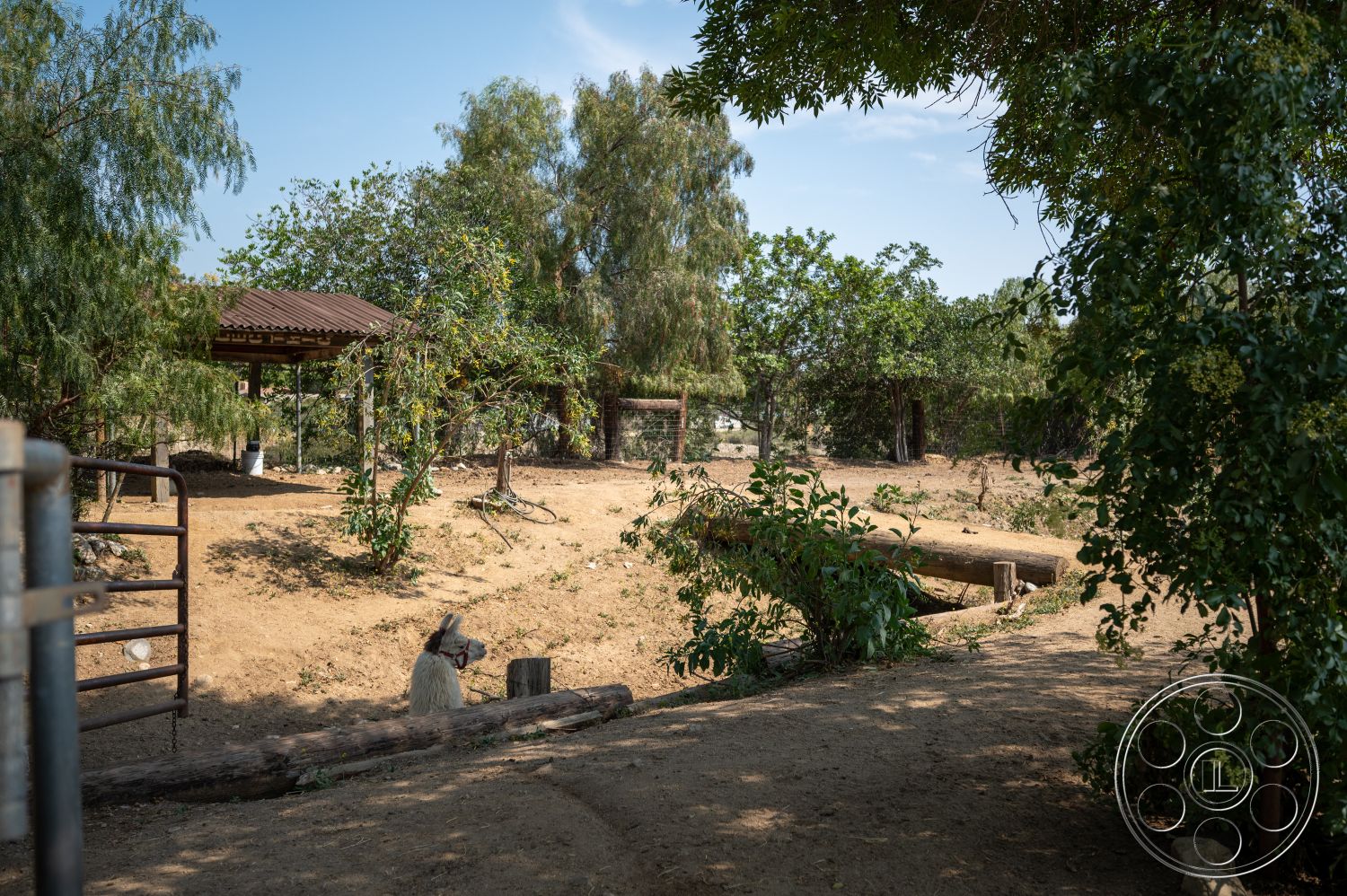 Ranch 6 - exterior, natural surroundings, metal gate, open-air space, dirt pathway, desert vegetation, wooden log seating, landscaped garden area, covered patio structure