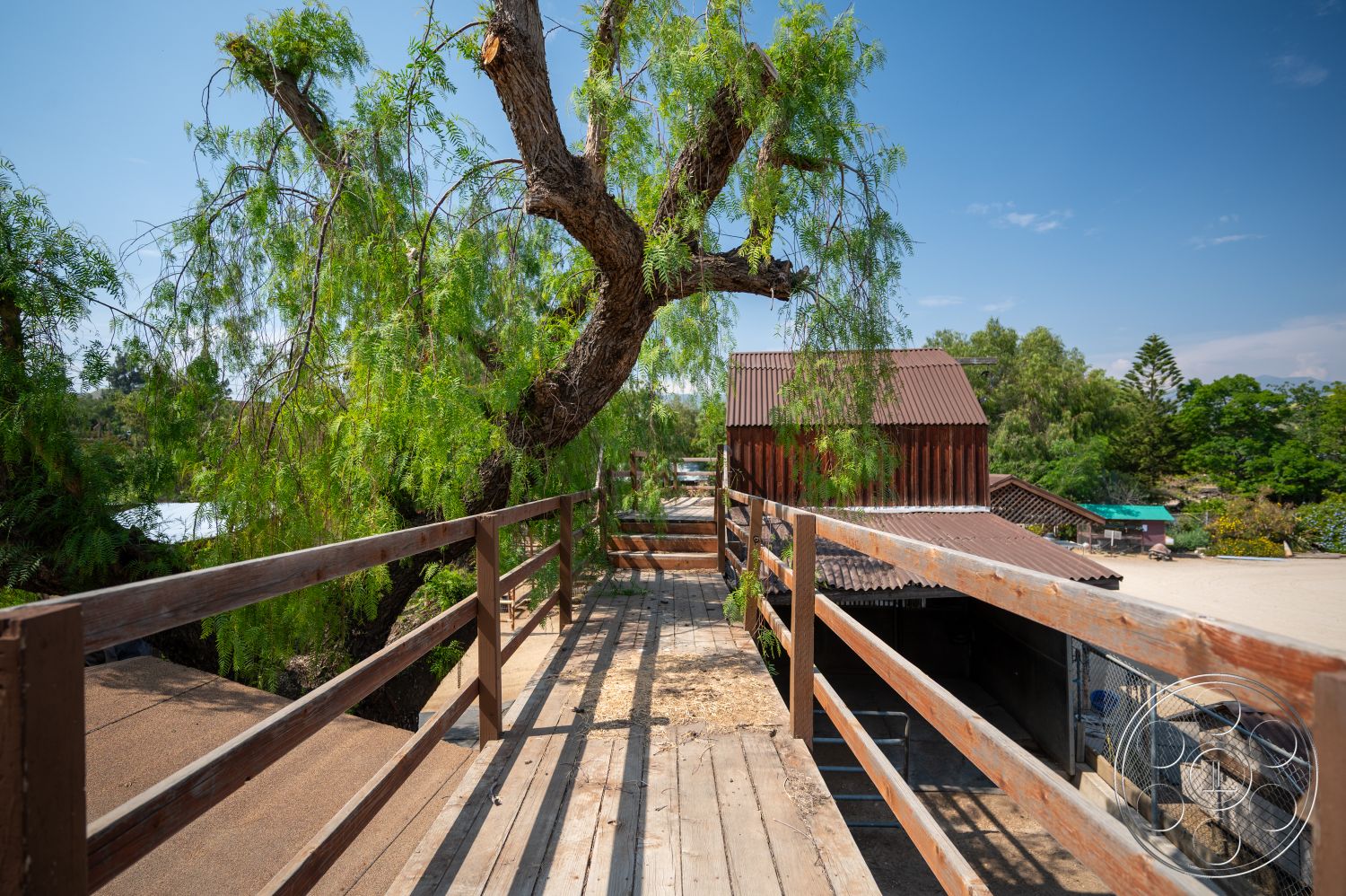 Ranch 6 - exterior, natural landscape, farm setting, rustic wooden beams, surrounding green foliage, overhanging tree branches, metal roof structure, wooden deck walkway, weathered wooden railings, elevated pathway