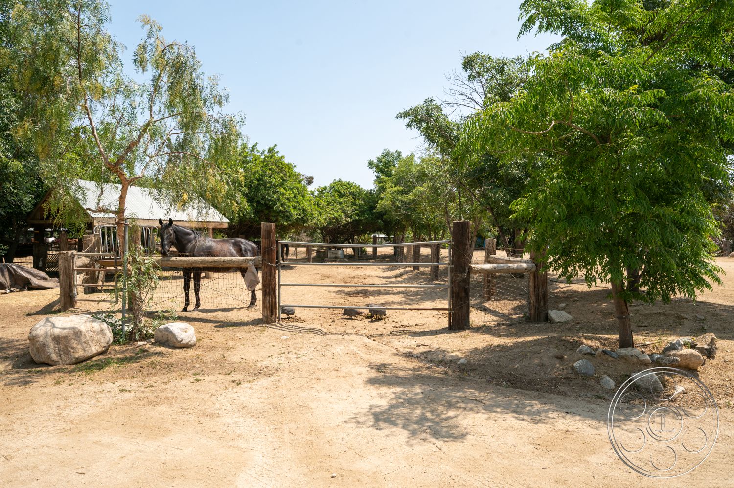 Ranch 6 - open outdoor space, farm setting, lush green trees, sunny outdoor environment, wooden horse fence, natural dirt ground, grass pasture area, large round stones, horse corral area