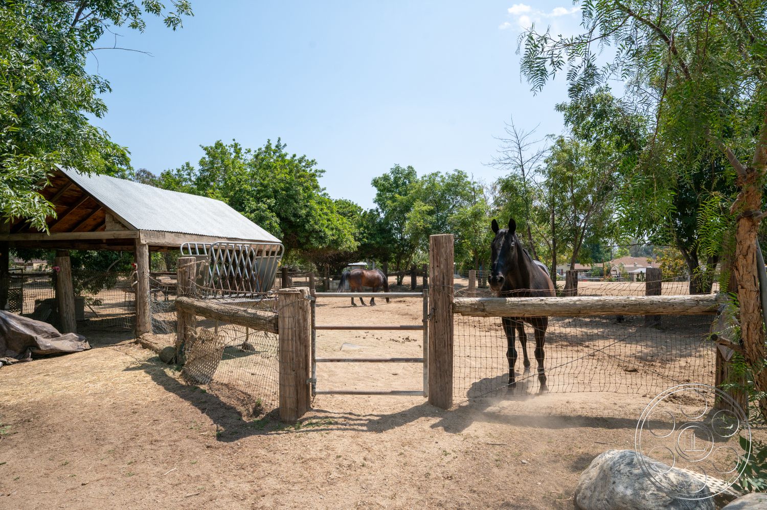 Ranch 6 - exterior, wooden fence, landscaped with trees, wooden gate, wooden barn structure, dirt paddock, open pasture, wire mesh fencing, metal roof barn, horse stable area, tree-lined setting, rustic horse enclosure, front pasture area