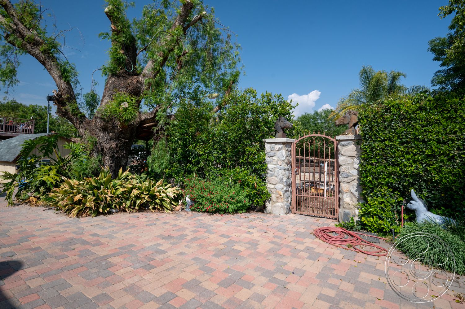 Ranch 6 - exterior, natural stone accents, paver driveway, outdoor entryway, landscaped garden area, decorative iron gate, sunny garden setting, mature shade tree, rustic outdoor design, stone gate columns, exposed stone pillars, tall lush greenery, colorful garden plants, flooring pavers