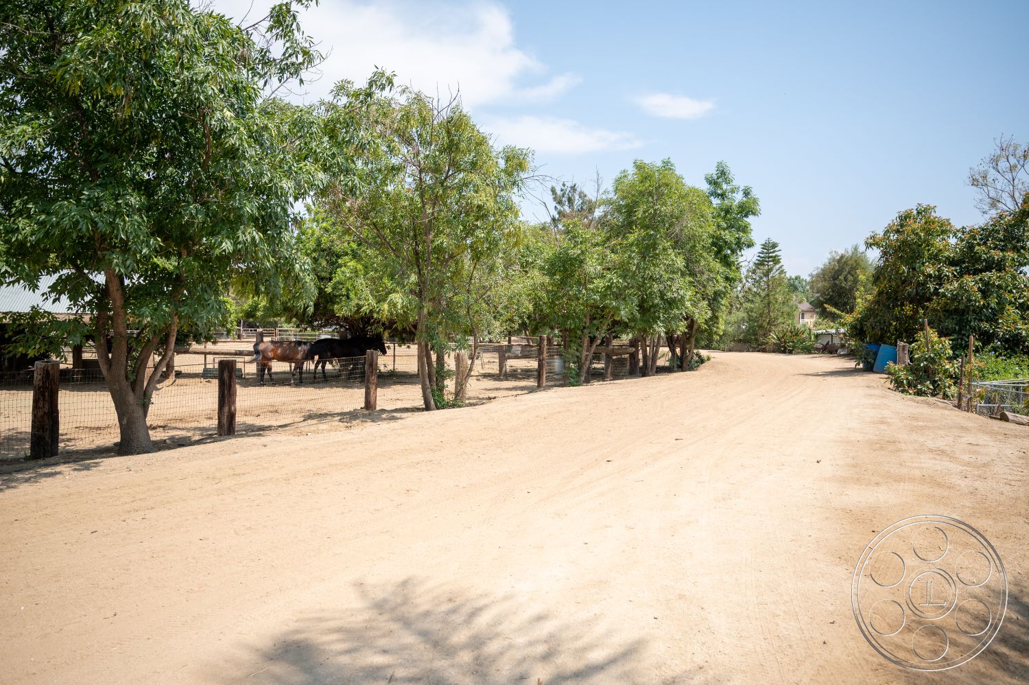 Ranch 6 - lush greenery, residential setting, dirt driveway, rural environment, pastoral landscape, wooden fence posts, perimeter fencing, open pasture, interior farm area
