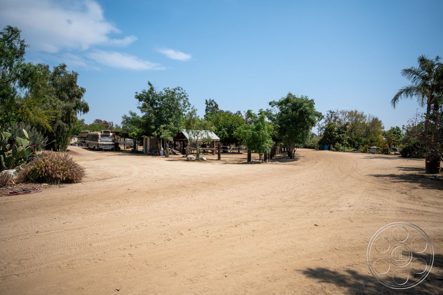Ranch 6 - exterior, palm trees, open space, green foliage, wooden structures, dirt driveway, cactus plants, rural environment, scattered trees, sunny outdoor setting, native shrubs, rustic farm landscape, residential ranch, informal garden areas