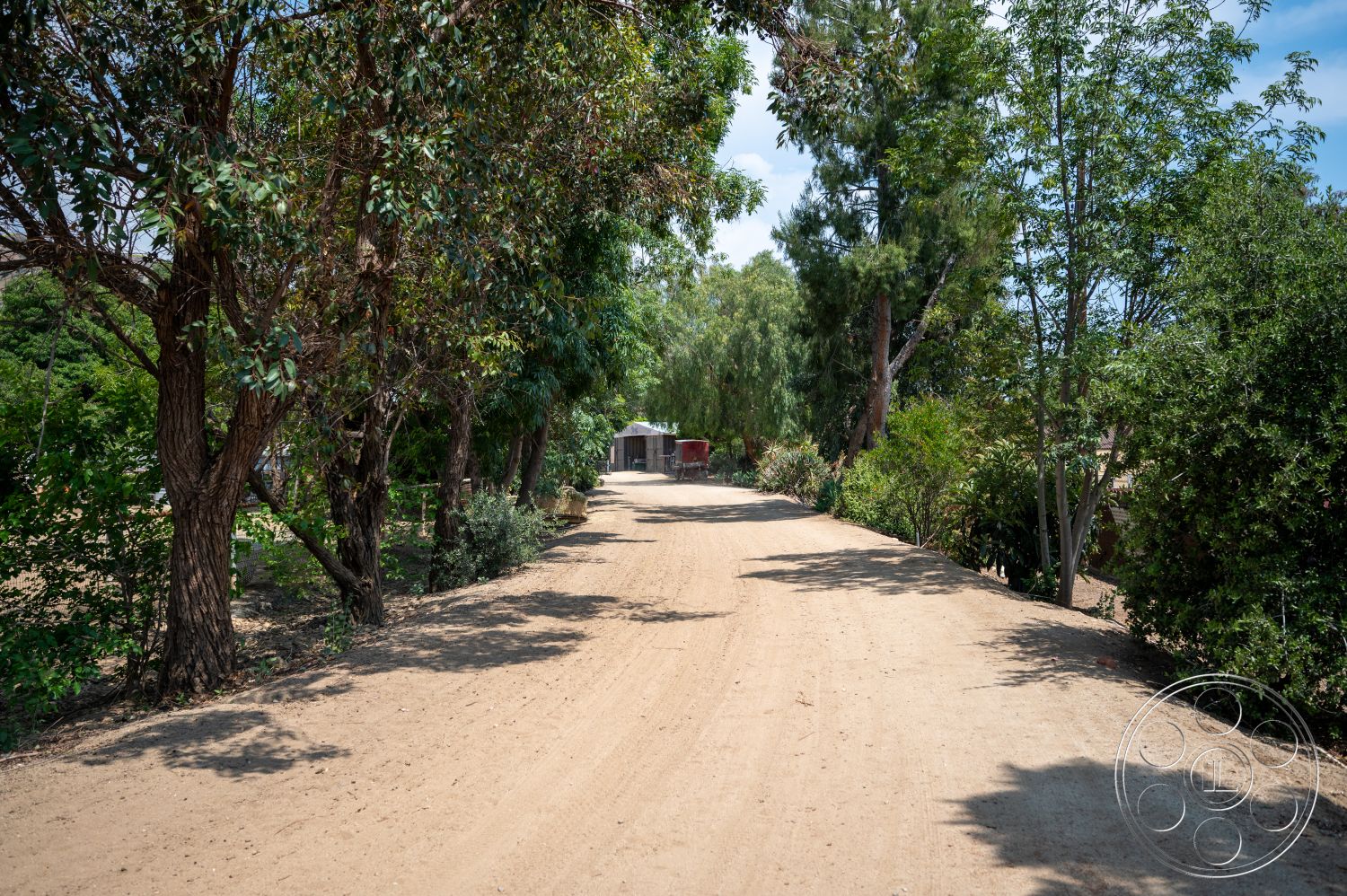 Ranch 6 - landscaped garden, outdoor space, natural landscaping, tree canopy, native trees, rural setting, gravel driveway, dirt road, hillside location, vegetation border