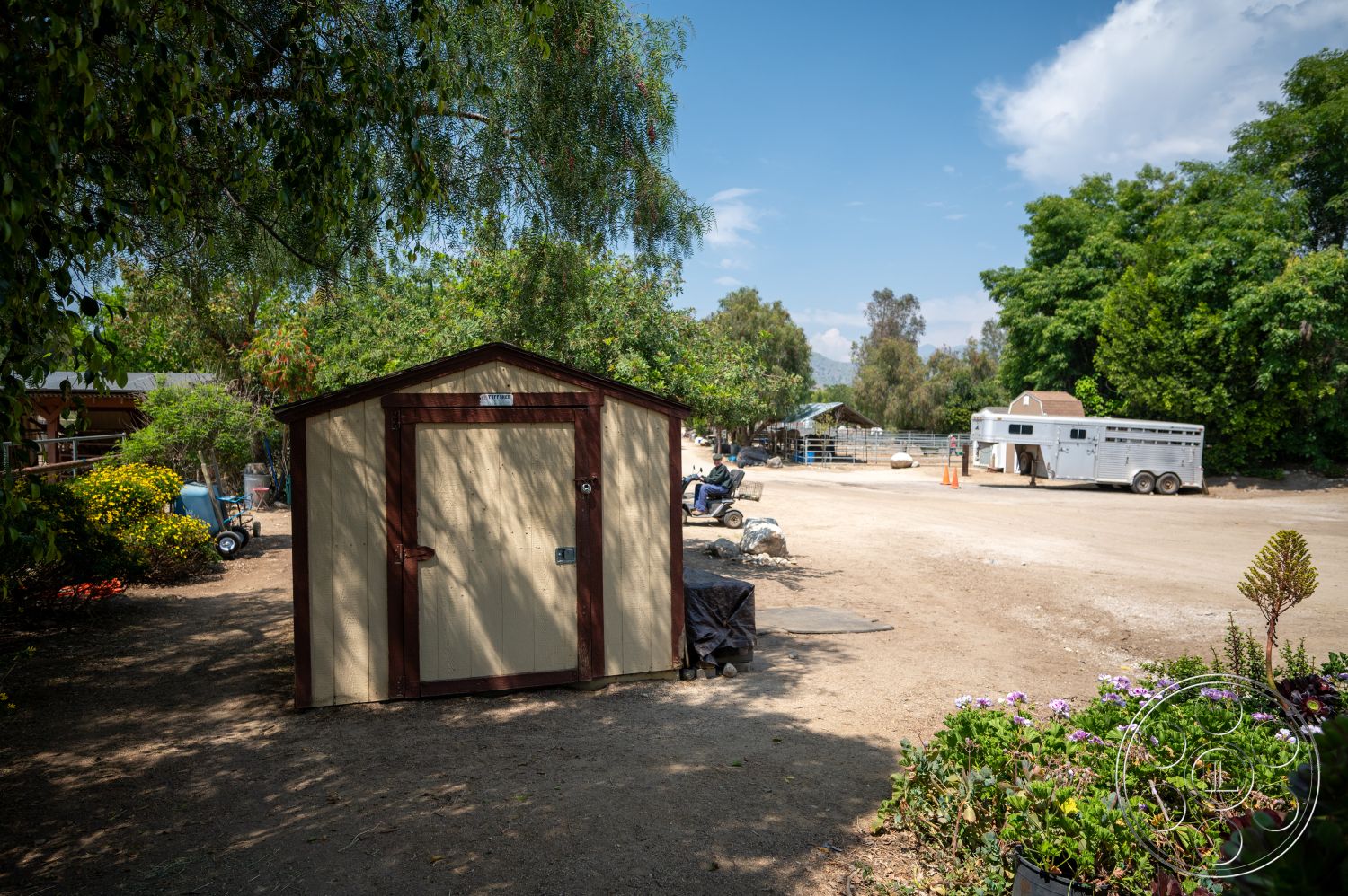 Ranch 6 - dirt driveway, semi-rural setting, exterior storage shed, wooden shed with beige siding, brown trim details on shed, lush green trees surrounding area, flowering plants in foreground, horse trailer parked in background, bright blue sky with scattered clouds