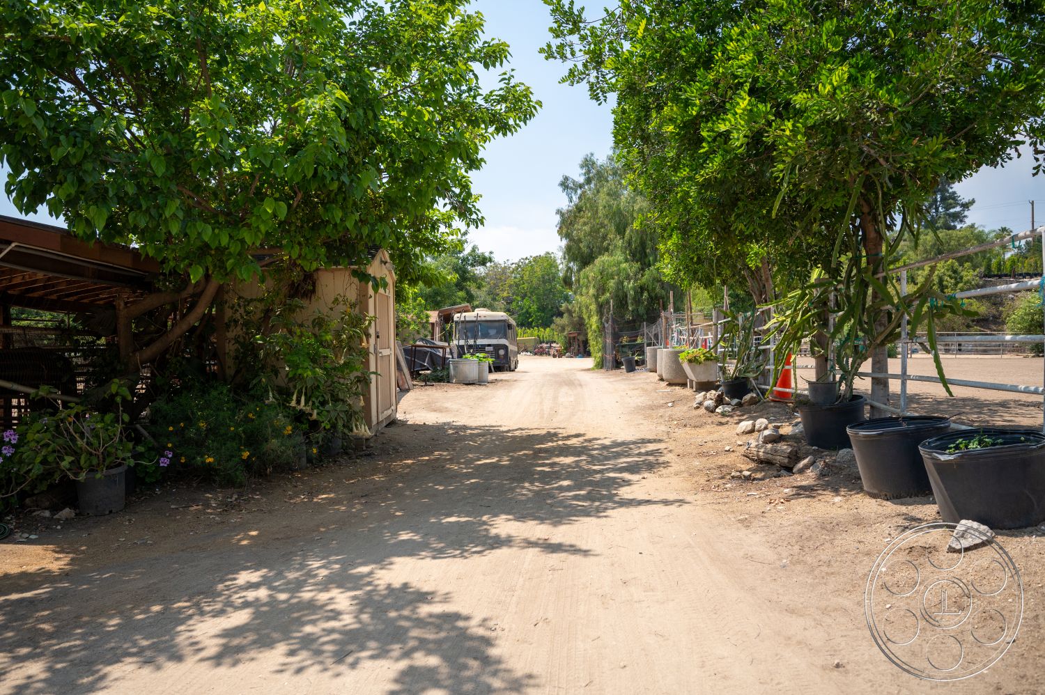 Ranch 6 - potted plants, sunny landscape, dirt driveway, rural environment, partially shaded areas, natural pathway, scattered stones, wooden shelter structure, tall greenery, outdoor farm setting, container plant arrangements