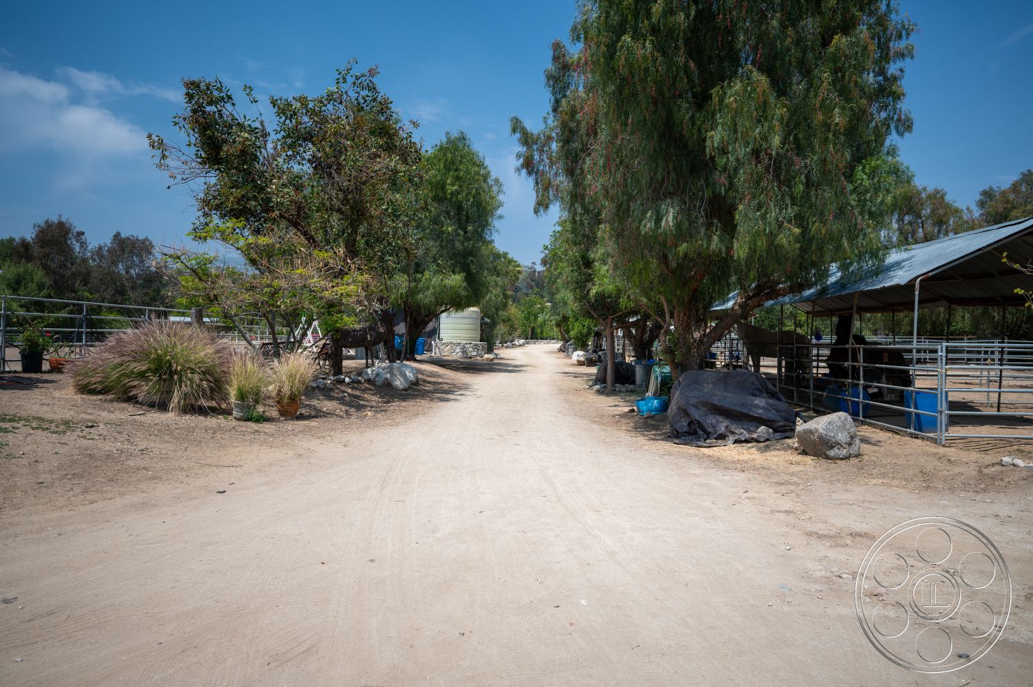 Ranch 6 - exterior, landscaped garden, open space, natural vegetation, blue sky, dirt driveway, rural landscape, eucalyptus trees, sunlit environment, agricultural setting, wooden fence panels, metal barn structure, outdoor pasture