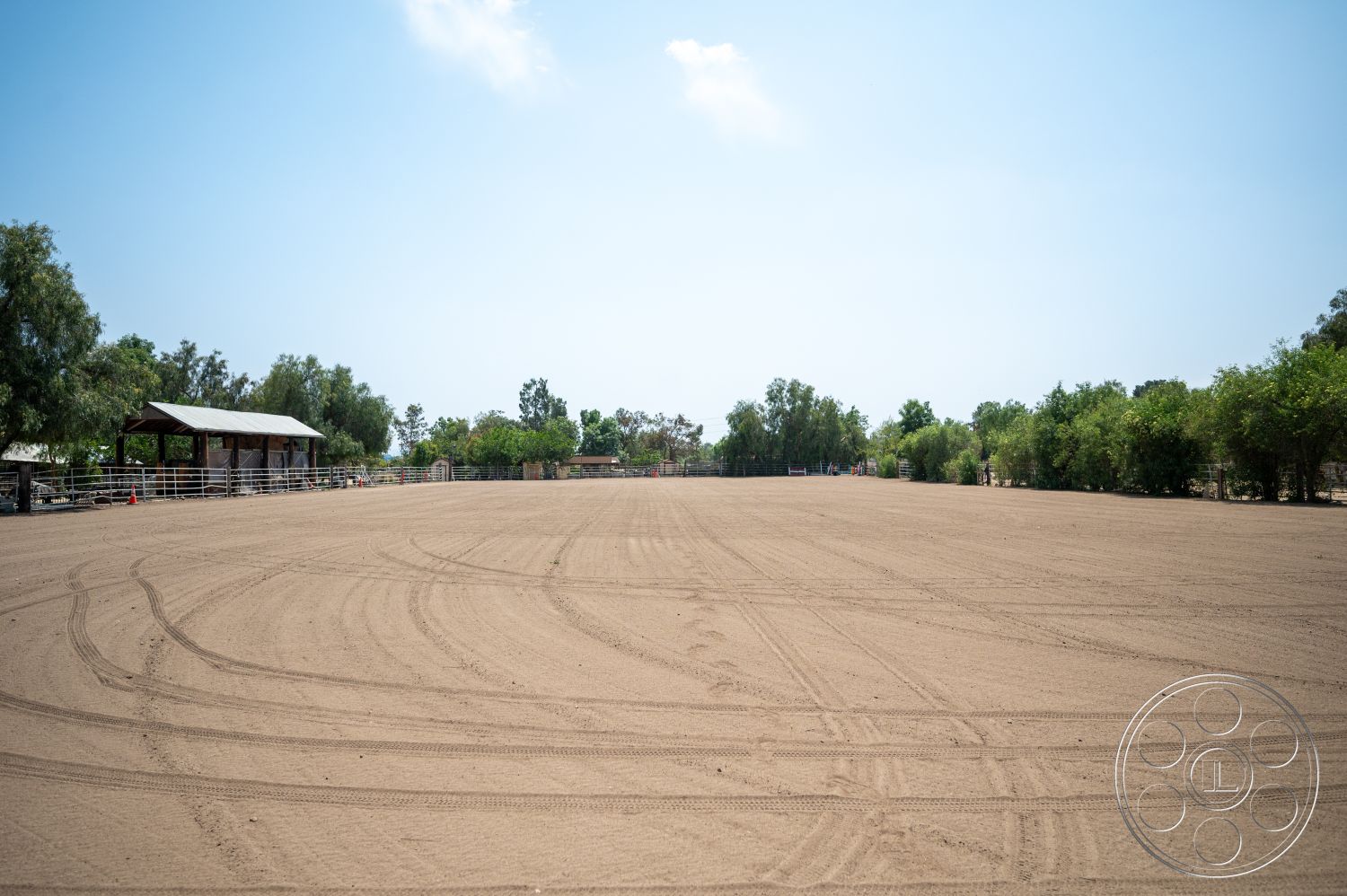 Ranch 6 - exterior, blue sky, metal fence railings, landscape setting, wooden barn structure, tall green trees, sand arena surface, open equestrian space, dirt riding ring
