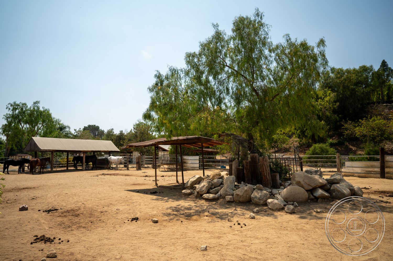 Ranch 6 - exterior, open outdoor space, wooden fence posts, wooden barn structure, sunny rural setting, horses in paddock, tin roof, sand and dirt horse paddock, natural rock formation, large leafy tree, metal pipe fencing