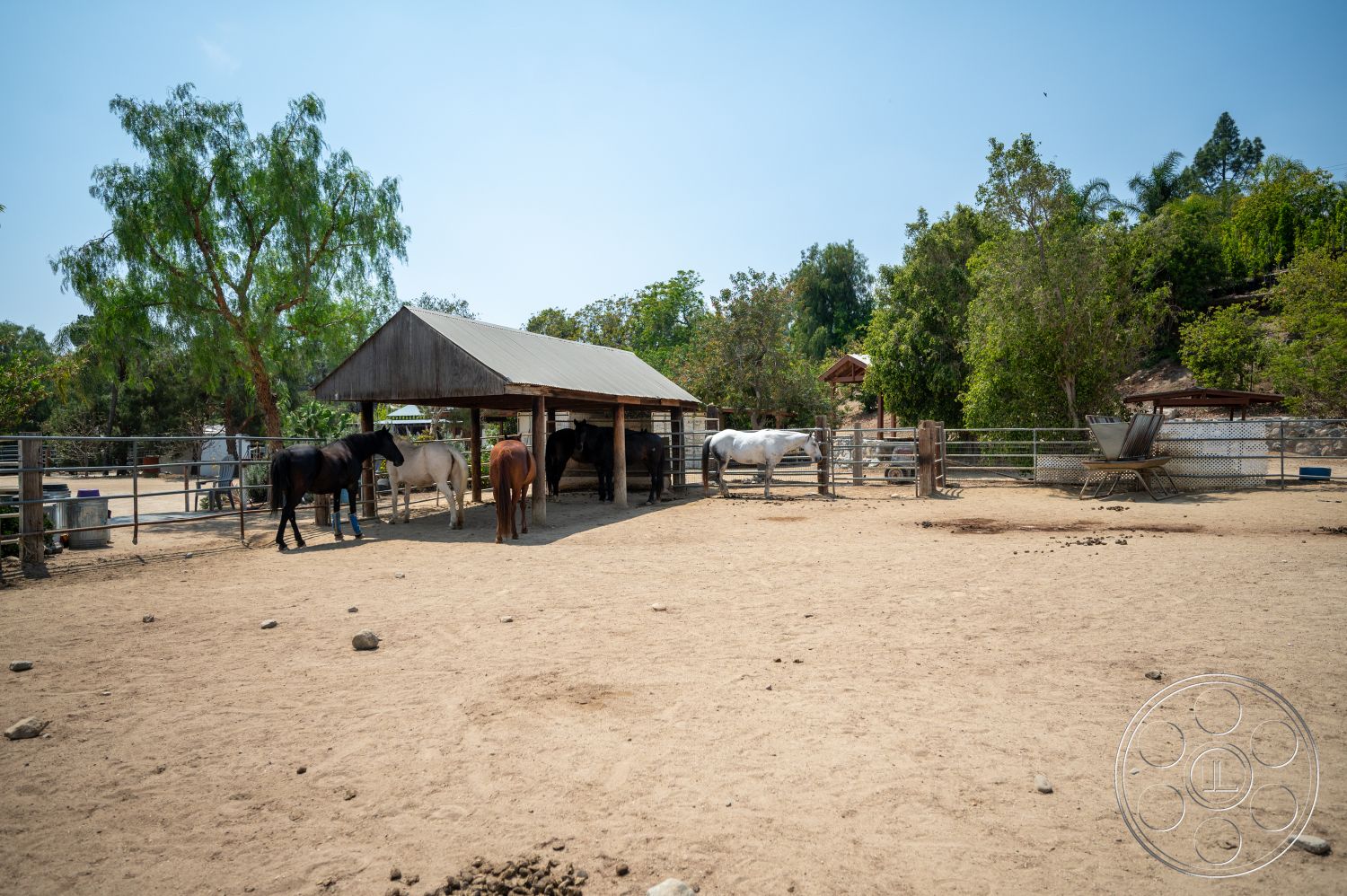 Ranch 6 - exterior, natural landscaping, surrounding greenery, metal fencing, clear blue sky, dirt paddock flooring, wooden horse barn, open horse stable area, three horses, tin roof barn