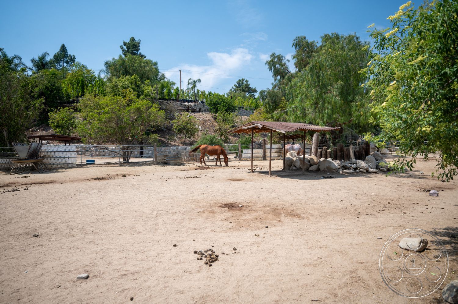 Ranch 6 - exterior, surrounding trees, gravel pathway, metal fencing, natural landscape setting, open pasture area, earthy sand ground, wooden horse shelter