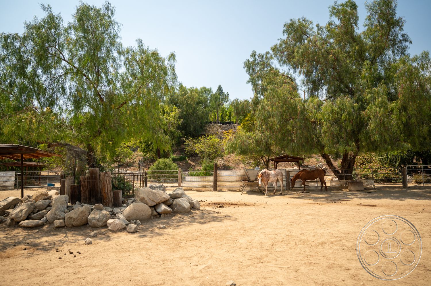 Ranch 6 - large trees, outdoor, wooden fence, dirt ground, sunlit environment, pastoral setting, rock formation, metal feeding trough, equine area