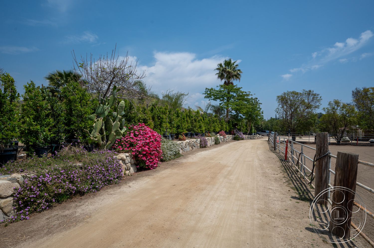 Ranch 6 - palm trees, dirt pathway, stone retaining wall, cactus plants, potted shrubs, open outdoor setting, sunny sky, landscaped border with flowering plants, red and purple flowering plants, wooden post fence