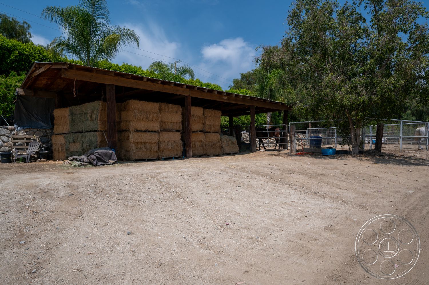 Ranch 6 - exterior, palm trees, wooden beams, gravel driveway, dirt ground, farm setting, natural landscape surroundings, wooden barn structure, thatched hay bales storage, open shelter design, rustic outdoor area