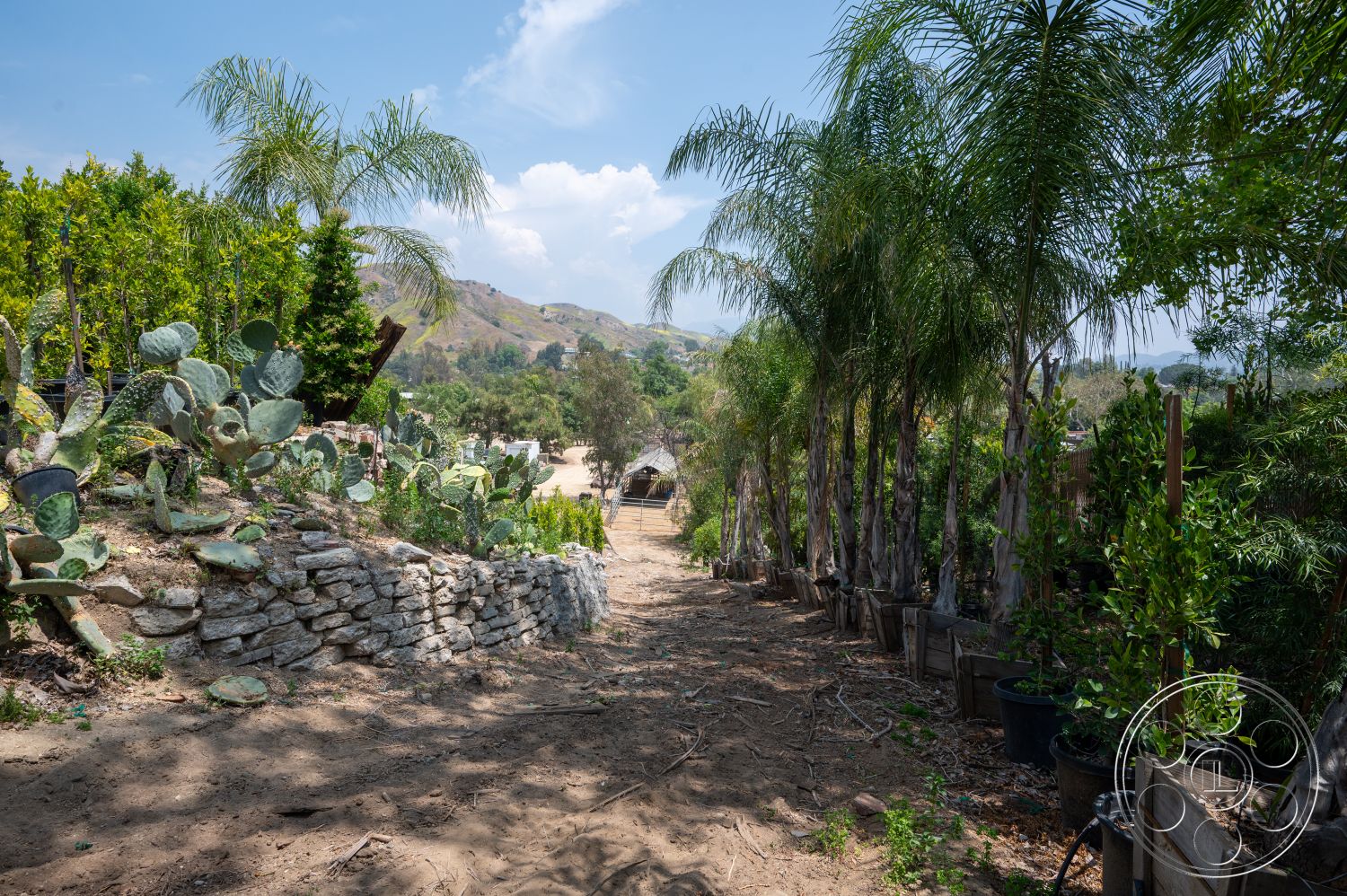 Ranch 6 - exterior, lush greenery, palm trees, wooden planter boxes, mountain backdrop, agave plants, dirt pathway, cactus plants, landscape garden, natural stone retaining wall, outdoor planting area, hill slope