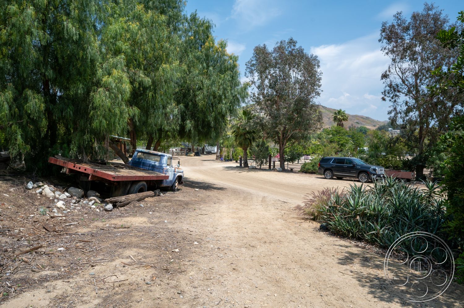 Ranch 6 - green shrubbery, outdoor setting, dirt driveway, suburban environment, distant hillside, rustic landscape, sunlit outdoor space, decaying truck, oversized eucalyptus trees, scattered rocks and debris