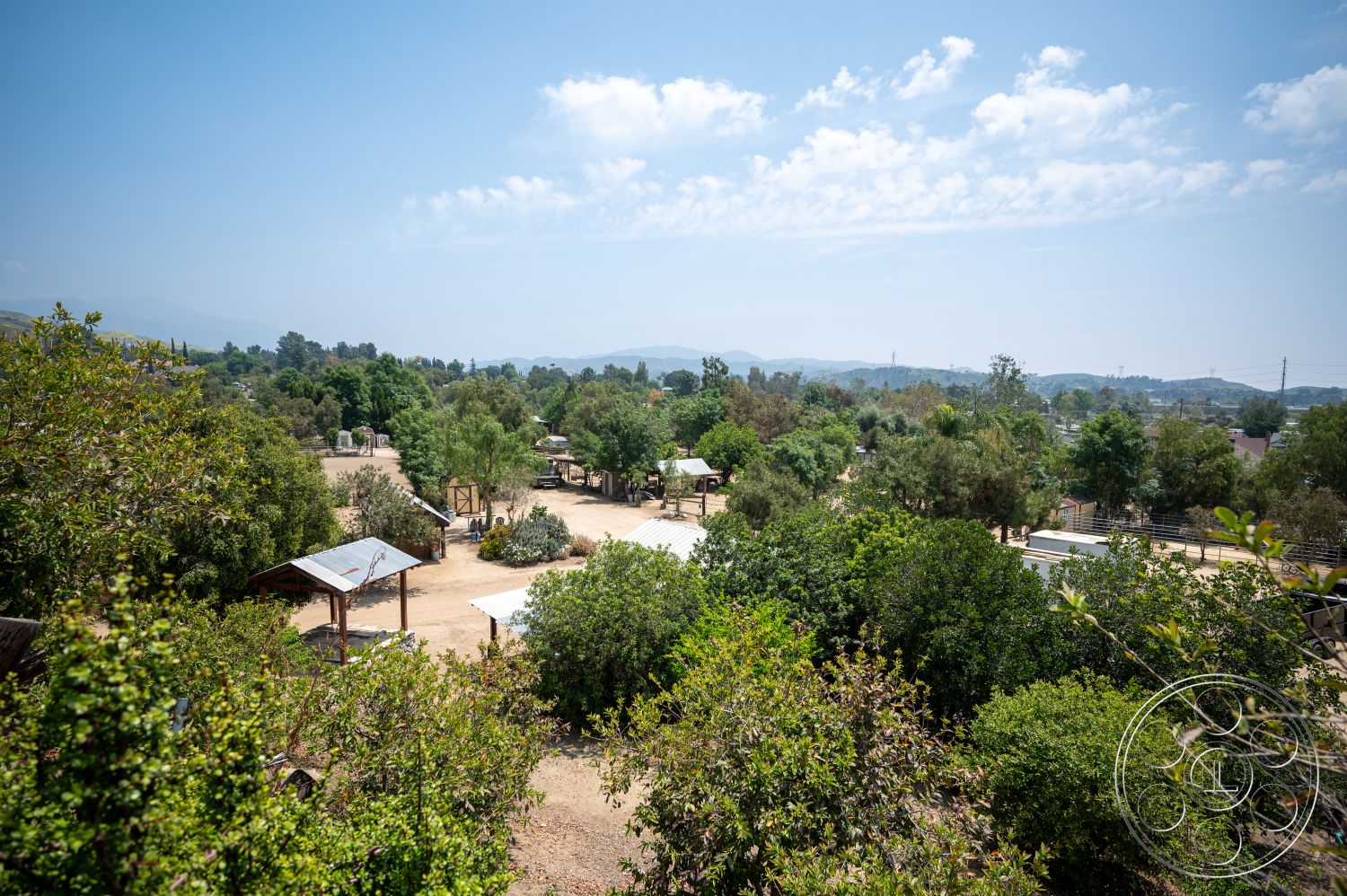 Ranch 6