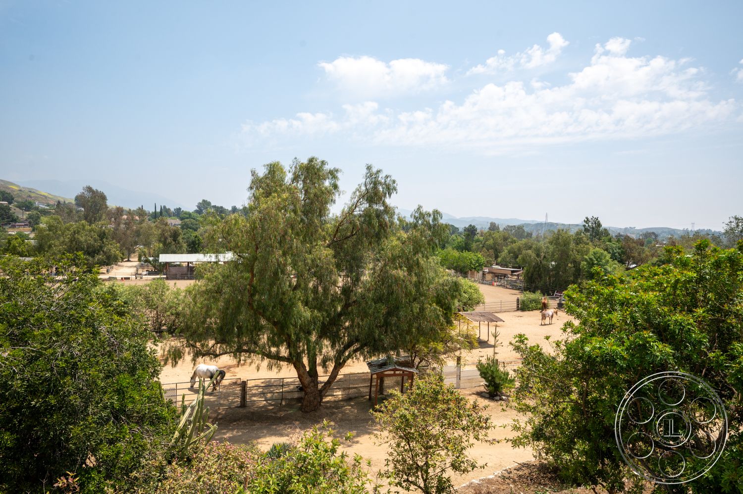 Ranch 6 - exterior, clear blue sky, natural sunlight, surrounding hills, rural farmhouse setting, open field landscape, large eucalyptus trees, fenced horse paddocks, dirt horse riding arena, wooden stable structures, greenery with shrubs