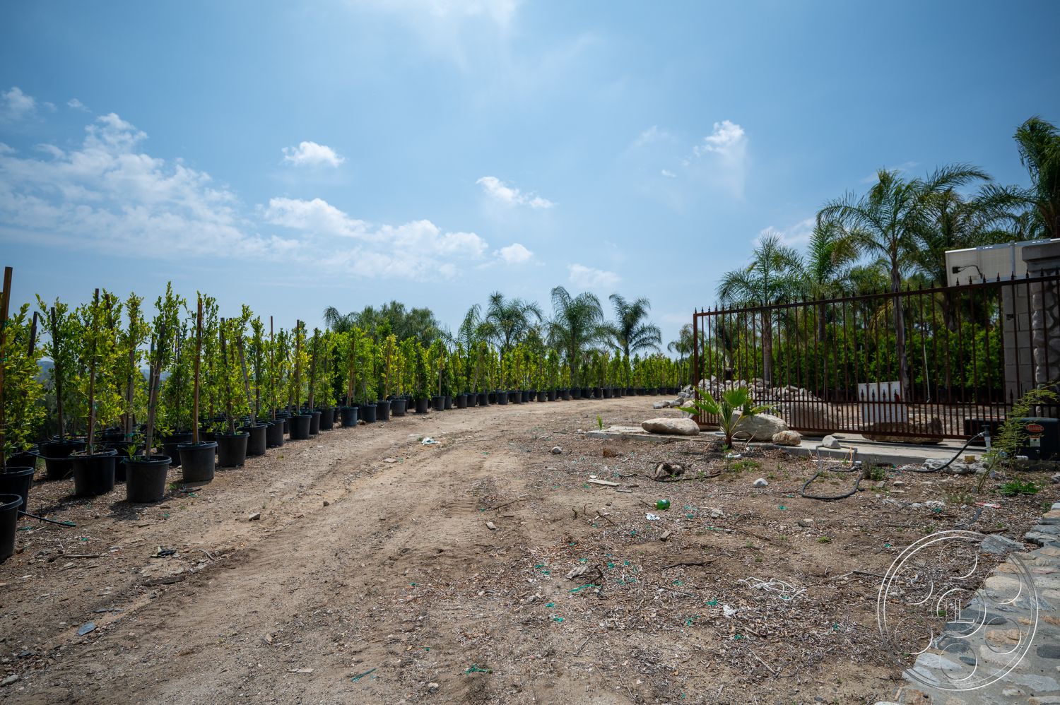 Ranch 6 - exterior, natural stone elements, palm trees, potted plants, fenced area, garden setting, dirt driveway, landscape with shrubs, gravel detail