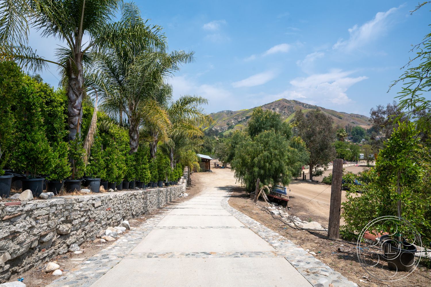 Ranch 6 - exterior, scenic view, dirt path, planter boxes, concrete driveway, mountain backdrop, boxwood hedges, palm trees landscaping, stone border wall