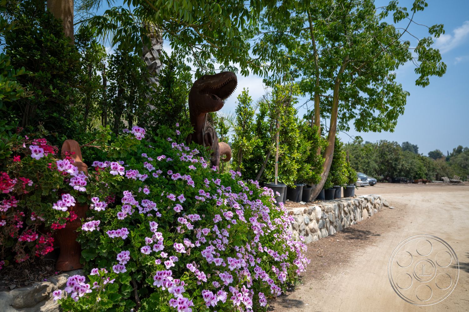 Ranch 6 - exterior, natural landscape setting, potted shrubs, stone garden border, colorful flower beds with pink geraniums, paved dirt pathway, green leafy plants, lawn and garden area