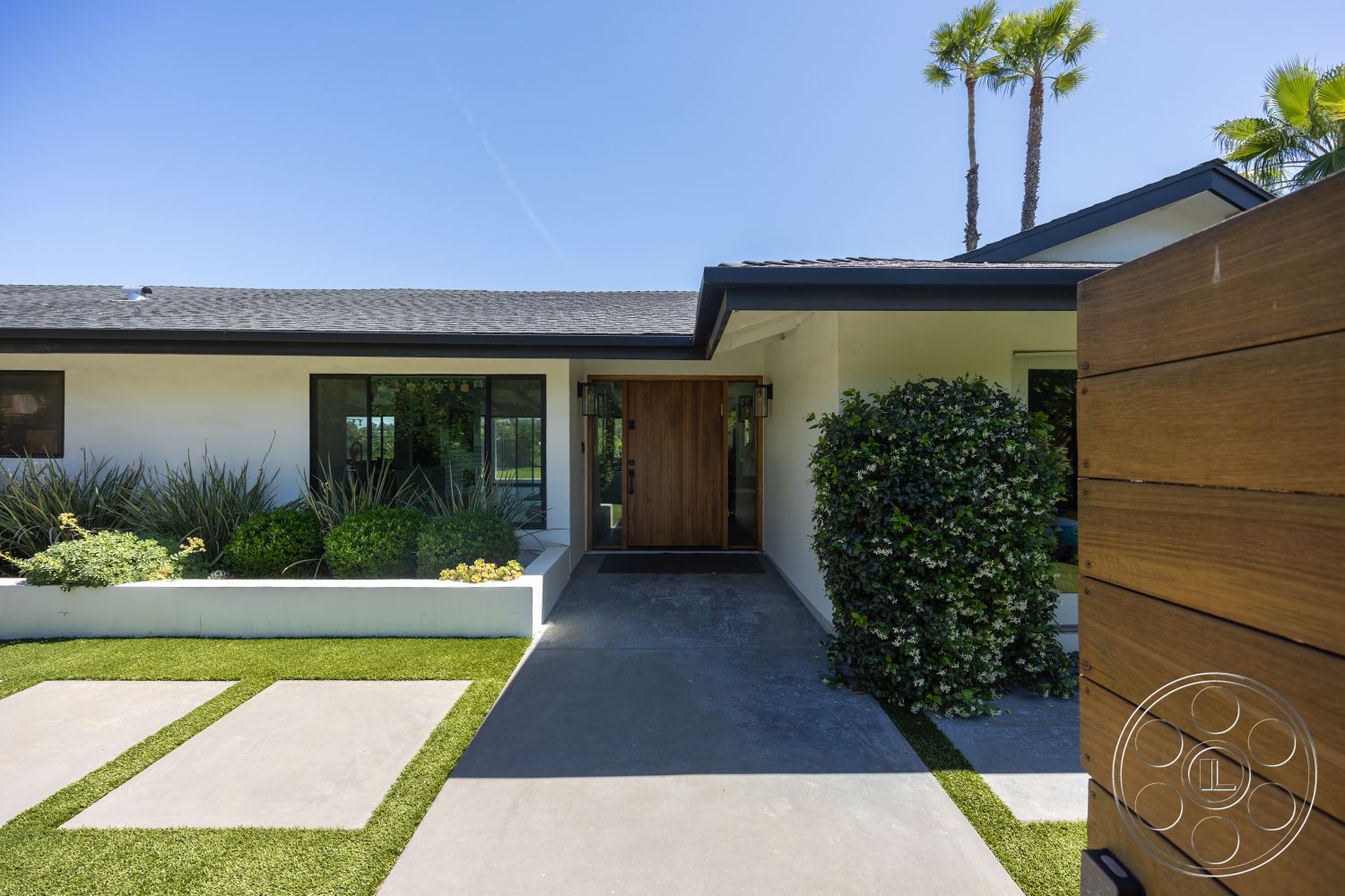 Modern 390 - large windows, exterior, white stucco walls, flat roof, modern landscaping, concrete walkway, succulent garden, wood front door, palm trees in background, concrete patio flooring, square concrete slabs, green grass turf, dark wood fence