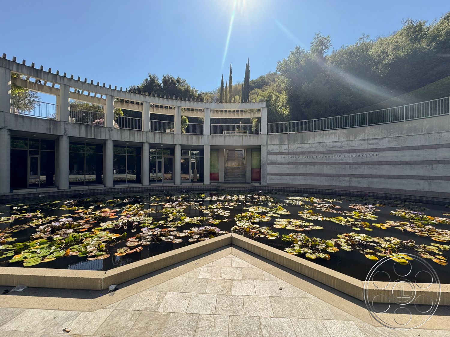 Museum 2 - exterior, slate stone flooring, surrounding greenery, landscaped courtyard, modern architectural style, floor-to-ceiling glass panels, stone pool border, circular concrete patio, sunlight casting shadows, concrete retaining walls, pond with water lilies, rounded column structures