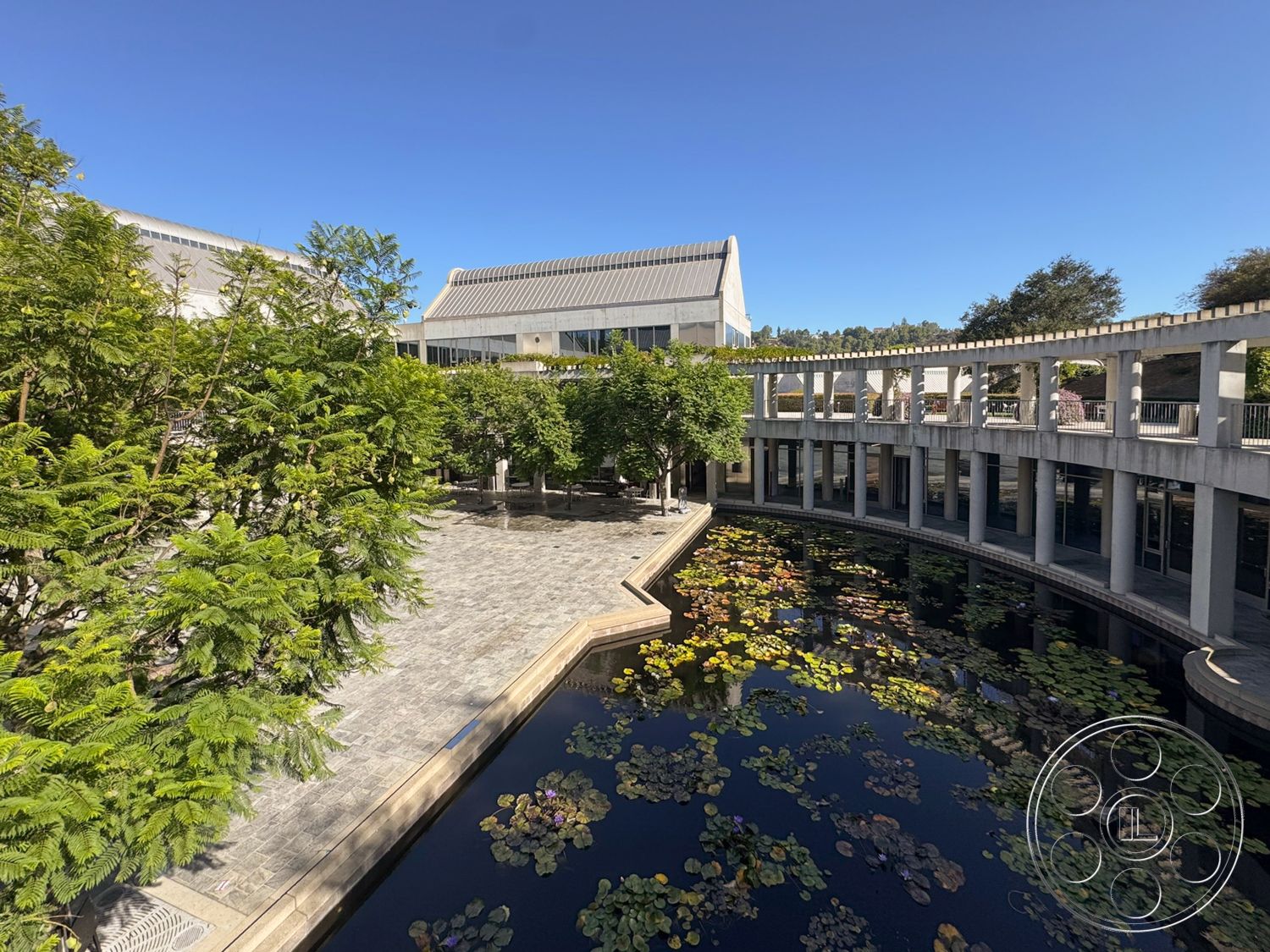 Museum 2 - exterior, landscaped garden, floor-to-ceiling windows, modern architectural style, tree canopies, exposed concrete columns, open-air corridor, concrete plaza flooring, curved reflecting pond, lotus flowers, symmetrical structural design