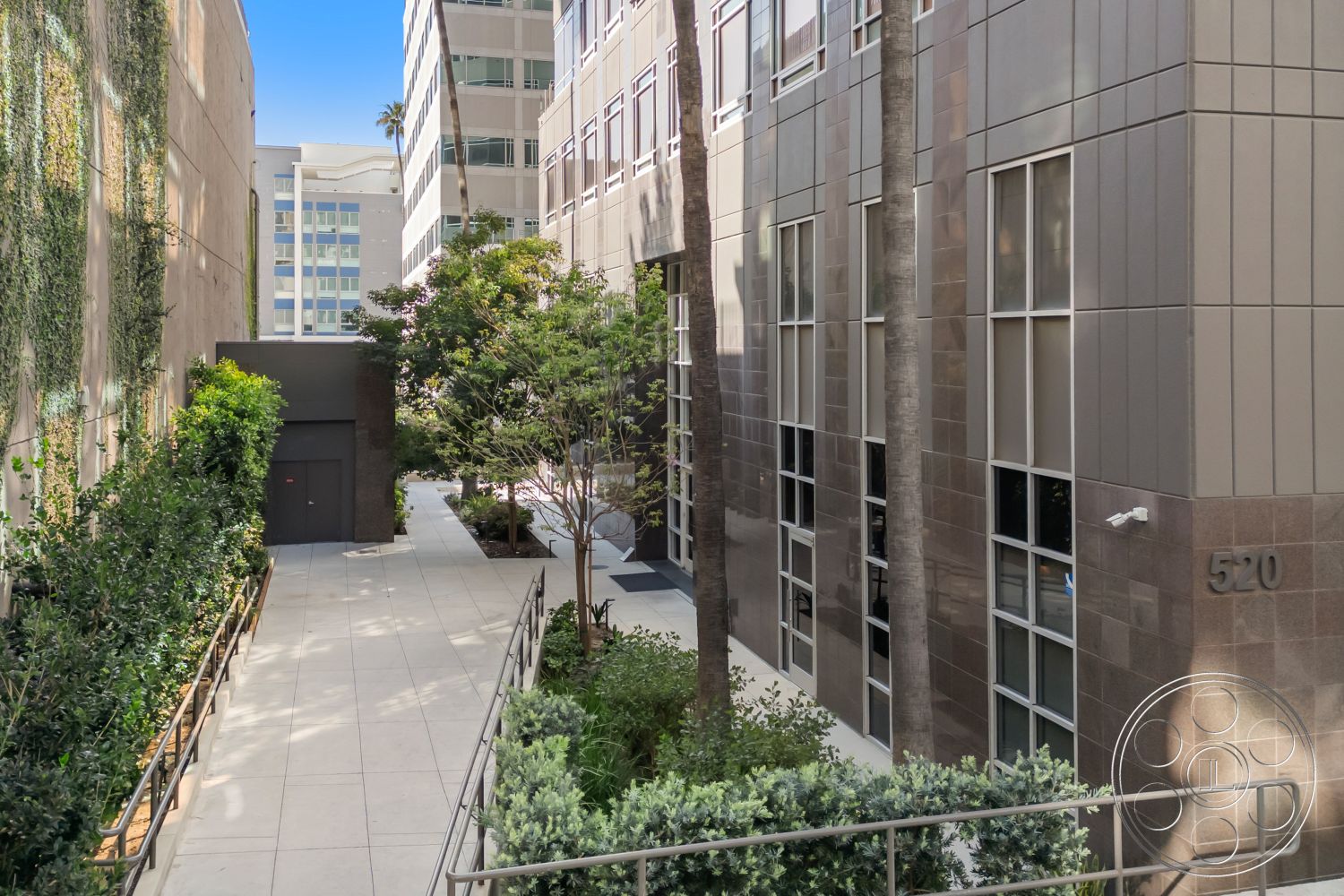 Rooftop-52 - exterior, palm trees, metal railing, concrete pathway, urban setting, glass windows, green foliage, modern architectural style, rectangular planters, textured wall treatment