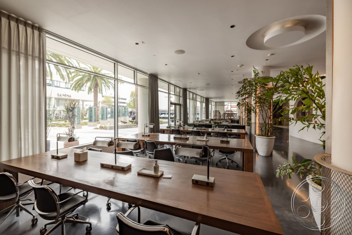 Sunset Campus - minimalist design, concrete floor, modern lighting fixtures, floor-to-ceiling windows, natural light ambiance, open workspace layout, polished concrete wall, white curtain drapes, wood communal tables, black metal office chairs, tall indoor plants, stylized column supports
