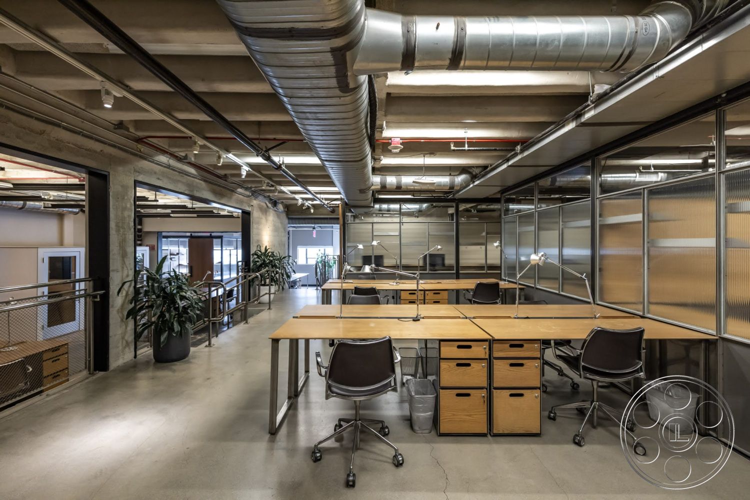 Sunset Campus - concrete floor, exposed concrete walls, glass partition walls, potted indoor plants, open-plan workspace, modern industrial style, black ergonomic office chairs, metal ductwork ceiling, steel desk legs, wood office desks, overhead track lighting