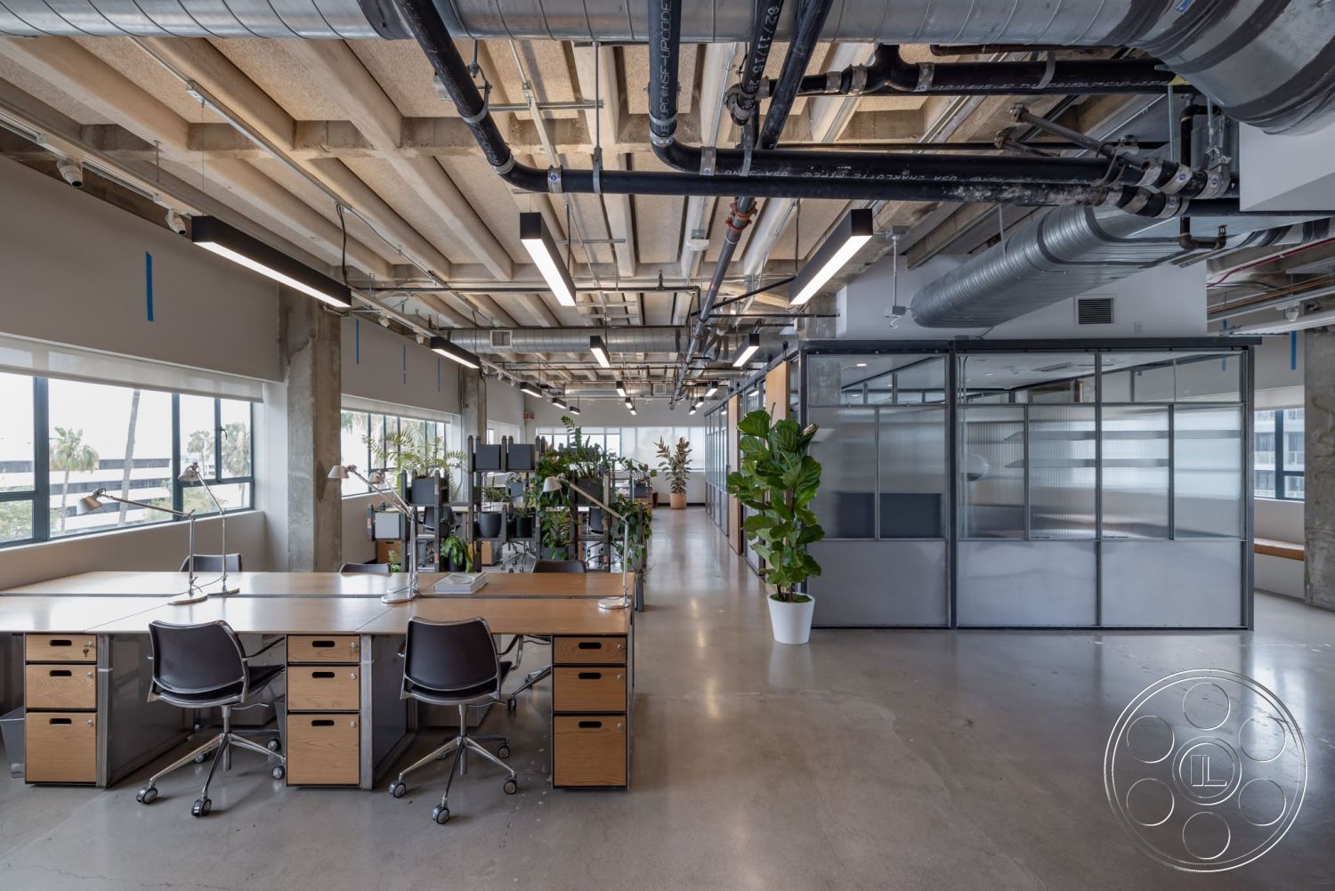 Sunset Campus - potted plants, concrete floor, industrial lighting fixtures, exposed concrete ceiling, glass partition walls, open-plan office layout, metal office chairs, wooden office desks, modern workspace interior, tall windows with black frames