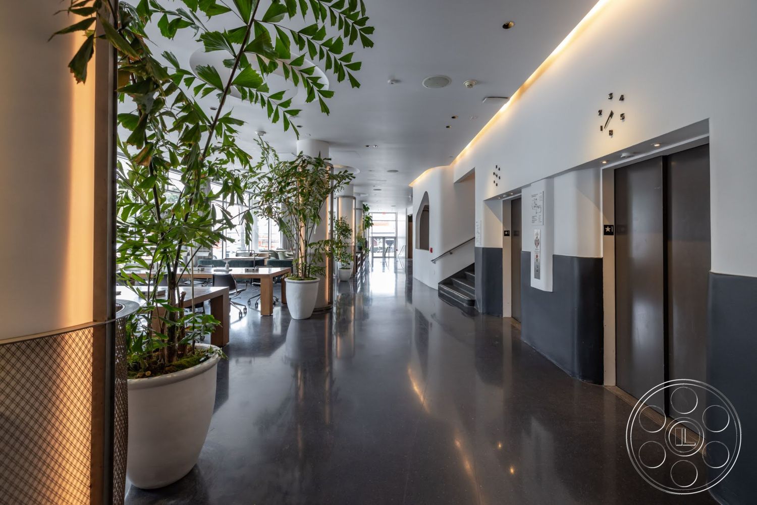Sunset Campus - contemporary design, polished concrete flooring, modern lighting fixtures, open workspace, floor-to-ceiling windows, minimalist architecture, elevator doors, interior hallway, white painted walls, potted indoor plants, dark gray accent wall, exposed column detail