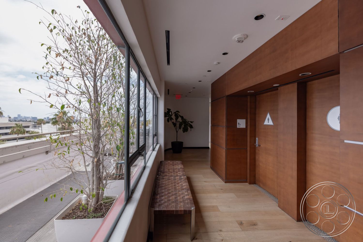 Sunset Campus - minimalist design, light wood flooring, track lighting, white ceiling, decorative indoor plant, large floor-to-ceiling windows, interior hallway, wood paneling walls, modern restroom doors, rectangular wood bench