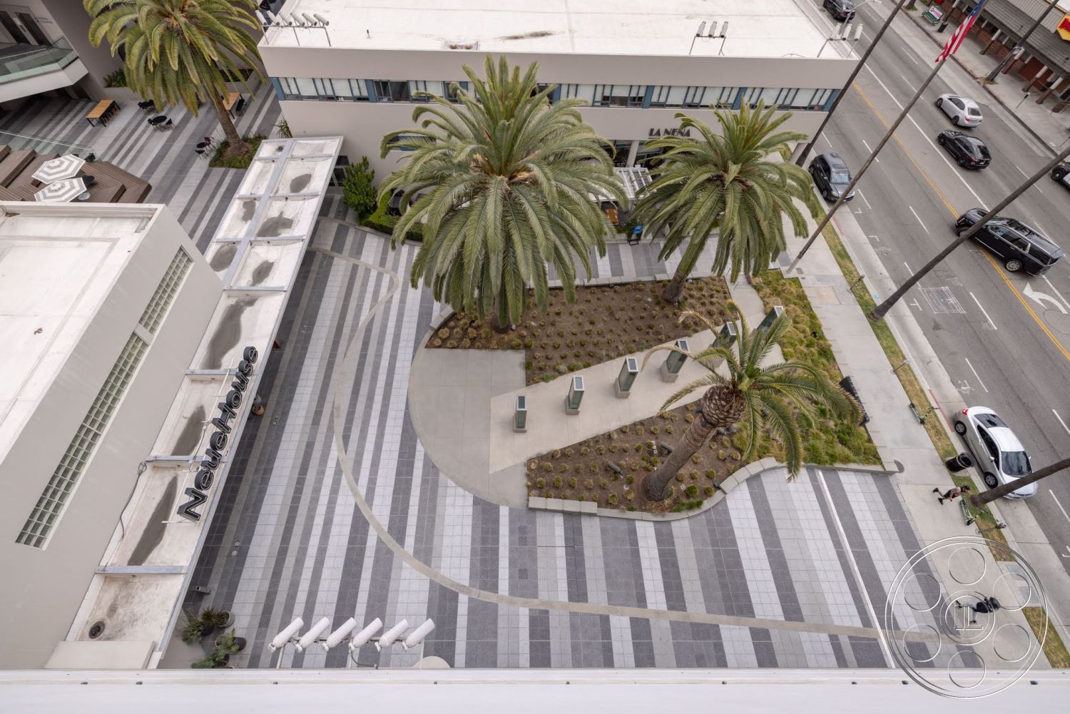 Sunset Campus - exterior, palm trees, urban landscape setting, landscaped green spaces, glass building facade, paved plaza flooring, concrete paver sidewalk, rectangular concrete garden beds, linear seating area, modern architectural signage