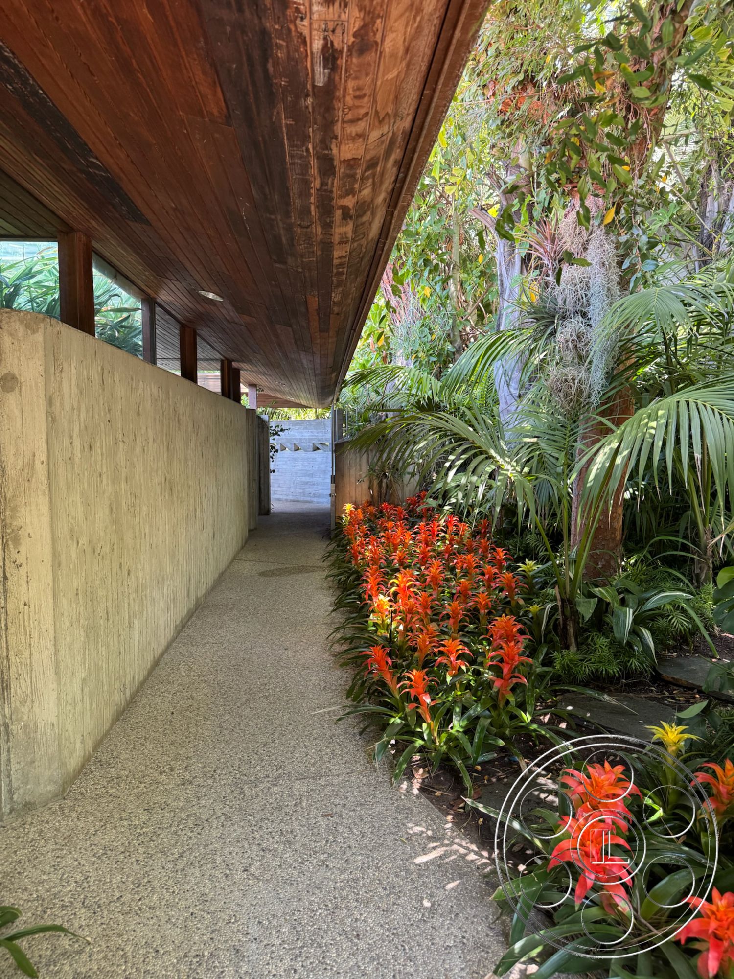 Goldstein House - exterior, textured concrete walls, lush tropical landscaping, vibrant orange flowers, green foliage backdrop, wood beam ceiling, framed glass windows, exposed aggregate pathway, natural wood overhang
