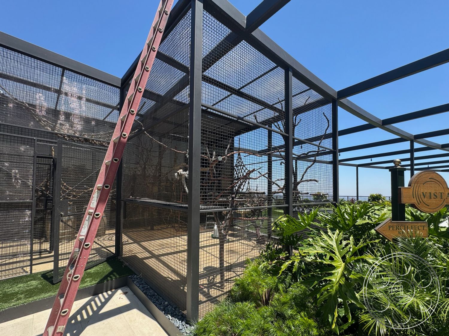 Star Villa - exterior, tropical landscaping, open sky view, stone gravel border, metal mesh enclosure, black steel framing, artificial grass flooring, rustic wooden sign, ladder with red finish