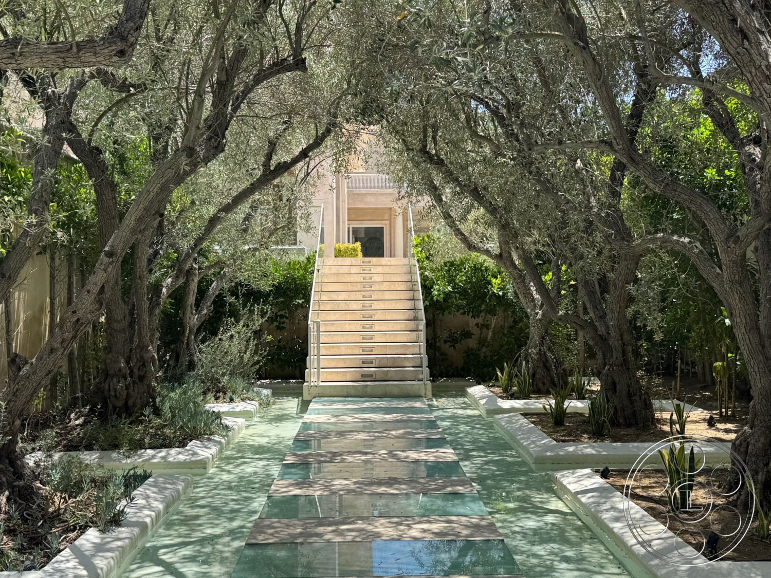 Beverly Compound - exterior, concrete stairs, green foliage, olive trees, natural stone steps, white stucco wall, outdoor lighting fixtures, landscaped garden setting, modern architectural design, rectangular concrete pathway, glass pathway accents, box planters, terrazzo-style flooring