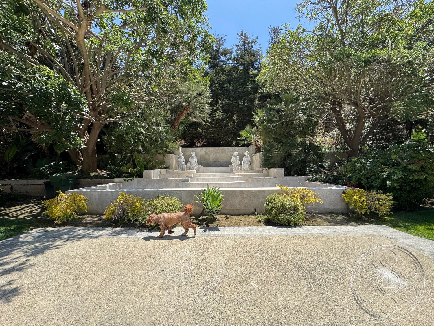 Beverly Compound - exterior, landscaped garden, tropical plants, concrete steps, bright sunlight, large shade trees, lush greenery backdrop, concrete garden features, sculpture feature wall, brick paver path, exposed aggregate patio floor, elevated terraces, bushes and flowering plants