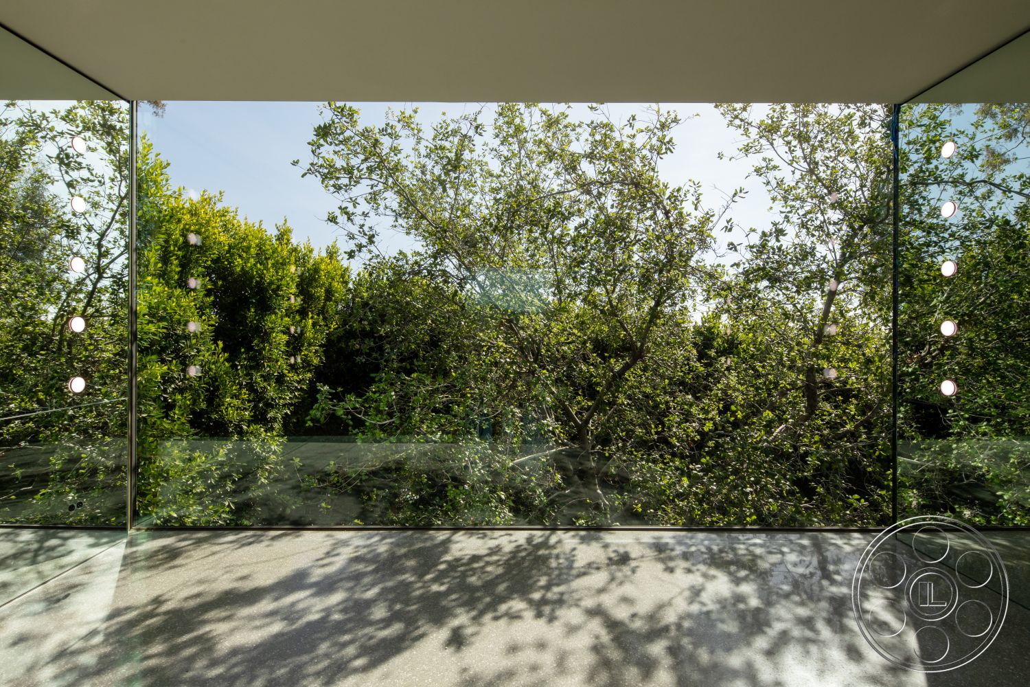 Modern 516 - natural light, exterior, minimalist design, open space, concrete flooring, landscape view, floor-to-ceiling windows, green foliage, modern architectural style, glass wall