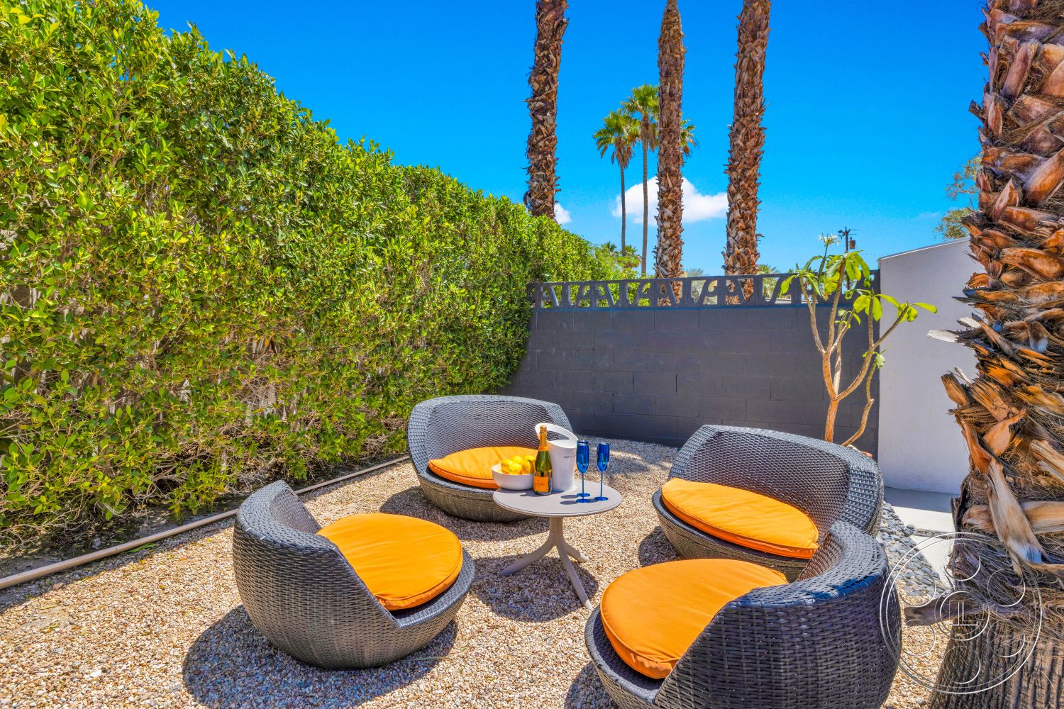 Palm Springs 76 - exterior, gray concrete wall, tall palm trees, round outdoor table, sunny outdoor setting, gravel patio flooring, lush green hedge, woven outdoor chairs with orange cushions