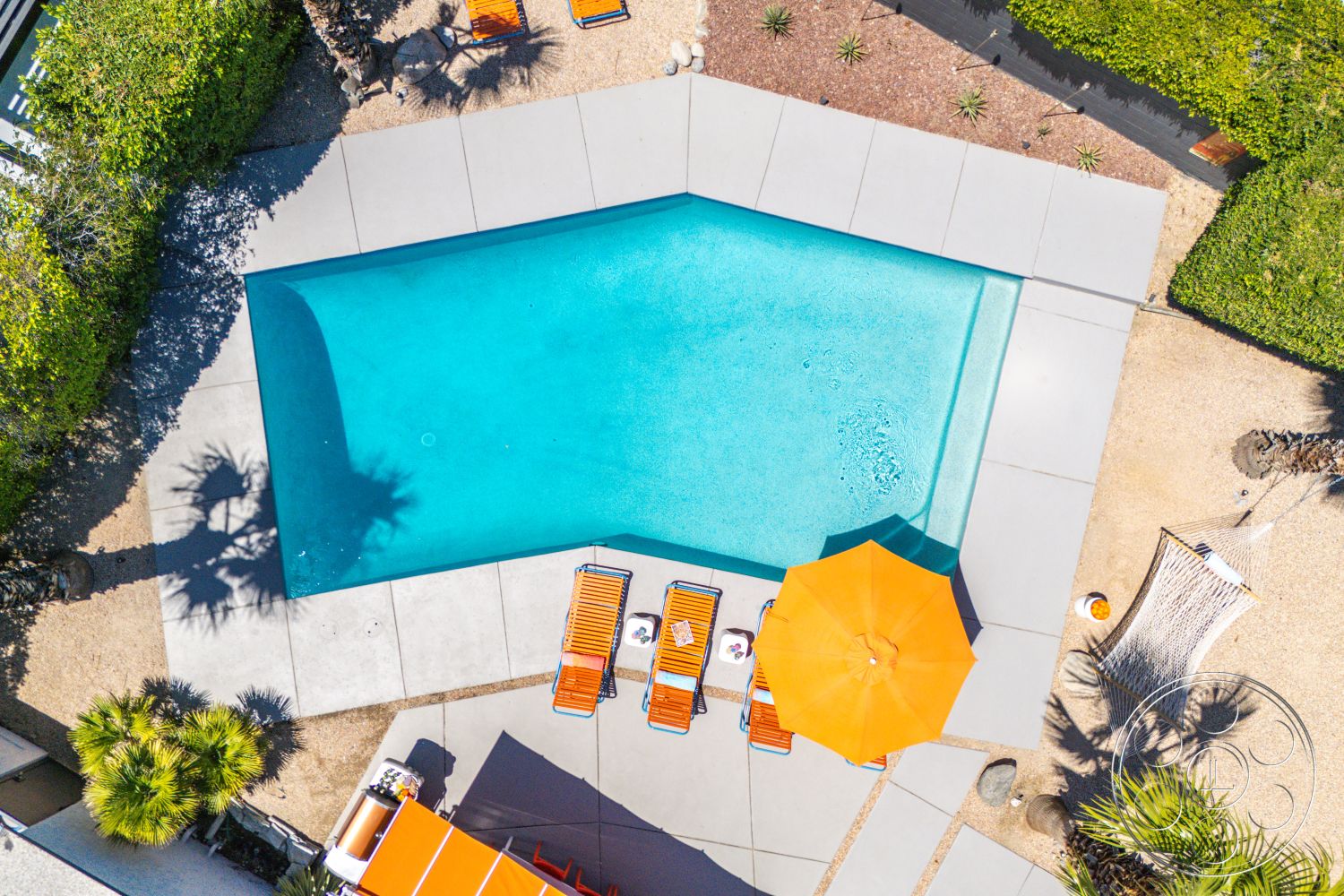 Palm Springs 76 - exterior, bright blue water, sunbathing area, concrete pool deck, palm tree landscaping, gravel garden, octagonal swimming pool, textured pebble landscaping, orange sun umbrellas, rectangular lounge chairs, low-maintenance garden beds