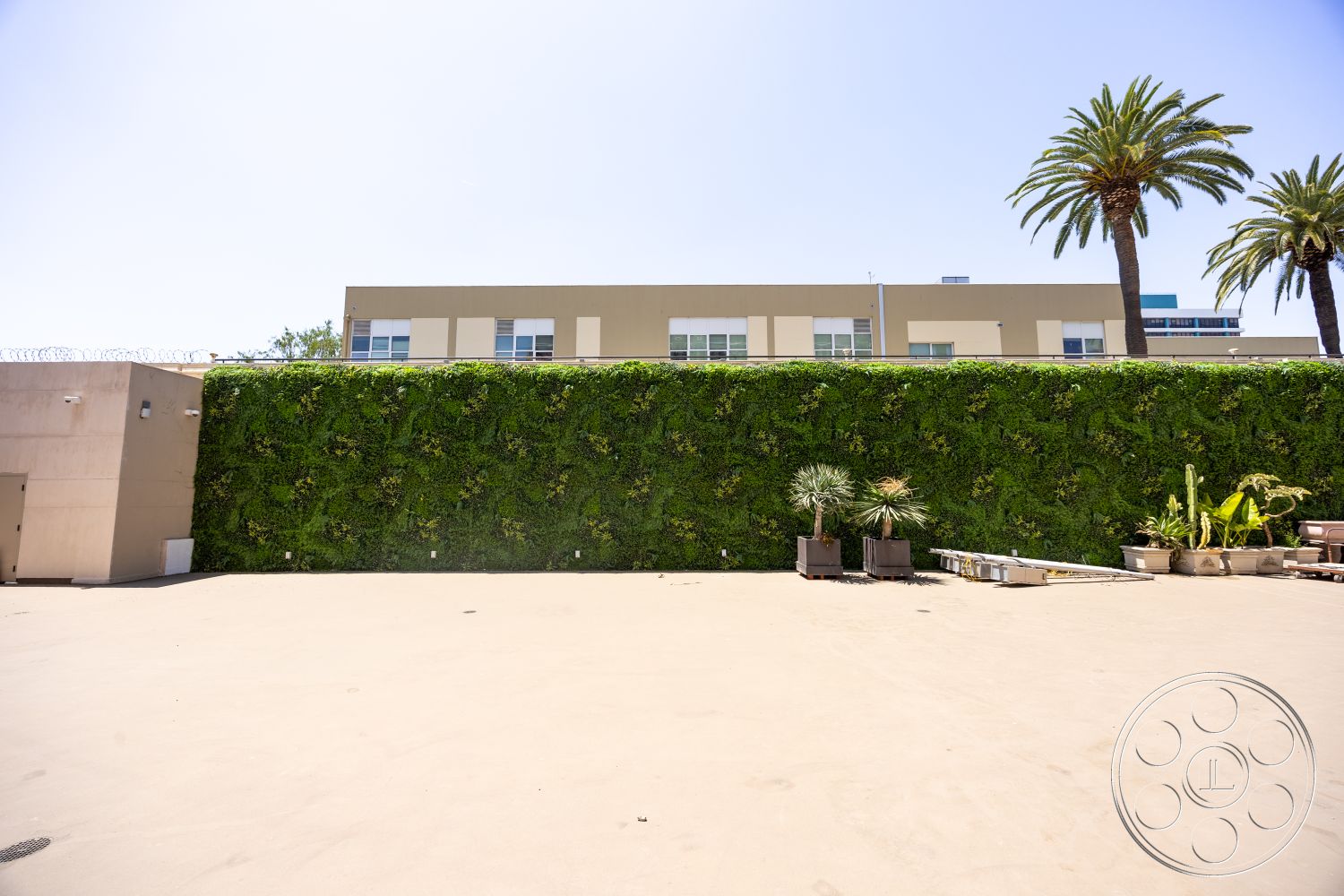 The Plaza - exterior, palm trees, modern architectural style, concrete patio floor, surrounding urban environment, vertical garden wall