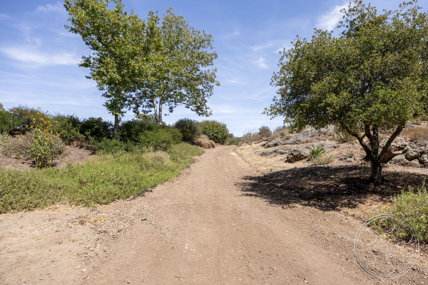 Eagle Feather - natural landscape, bushes, deciduous trees, rocky terrain, dirt road, wildflowers, open field, sunny sky, grassy edges
