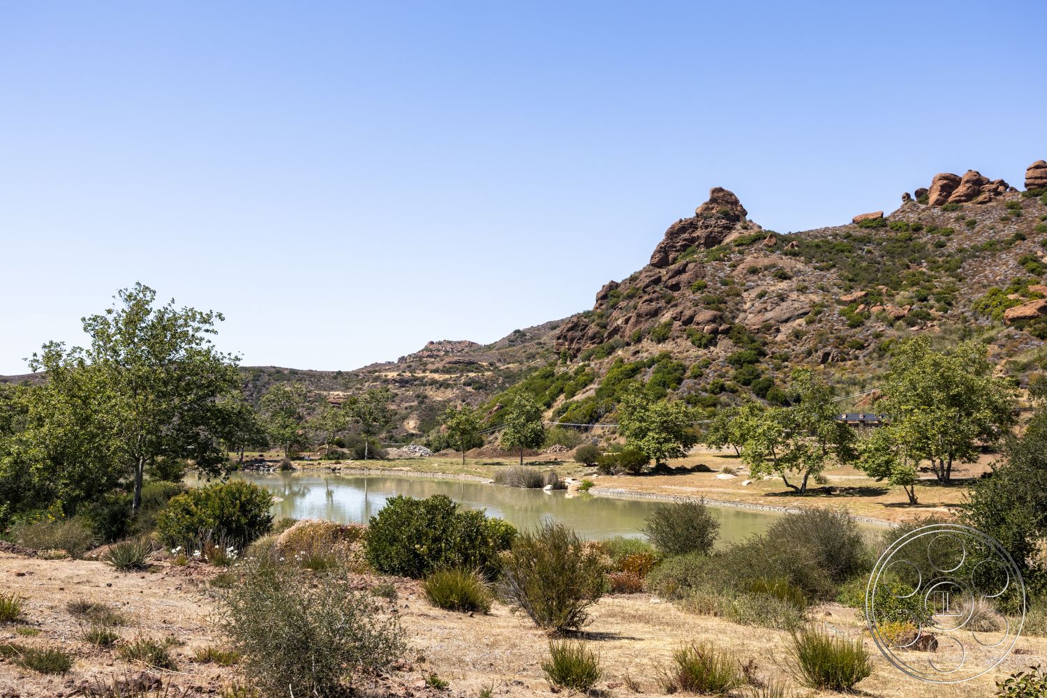 Eagle Feather - lush greenery, blue sky, suburban backyard, undulating hills, scattered shrubs, natural landscape setting, grazing land, rocky hillside terrain, pond water feature, trees with foliage
